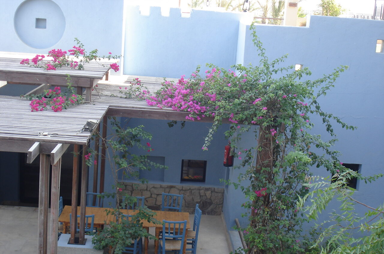 Diving hotel port ghalib pergola