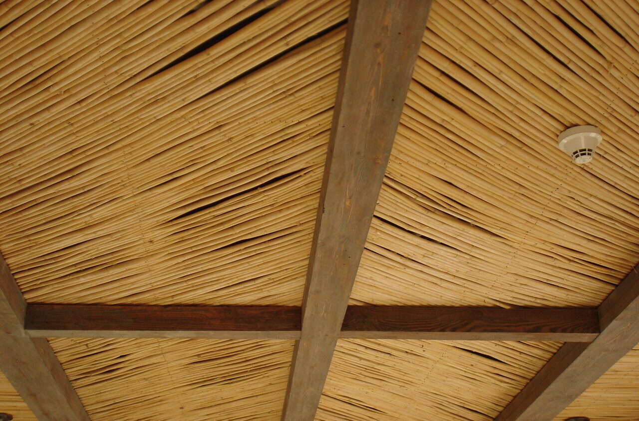 Diving hotel port ghalib pergola