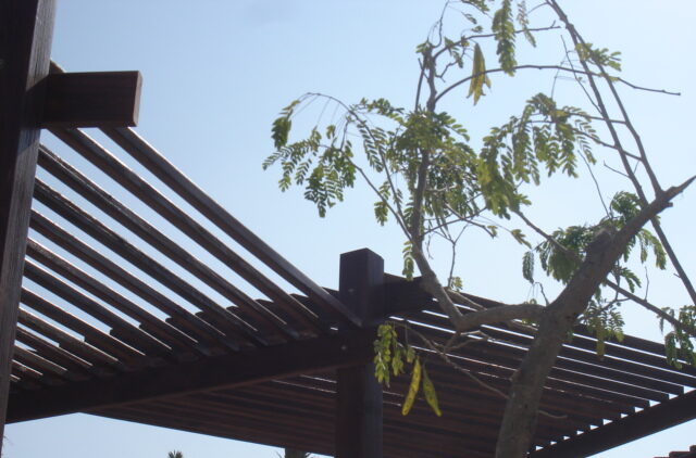 Citadel port Ghalib hotel pergola