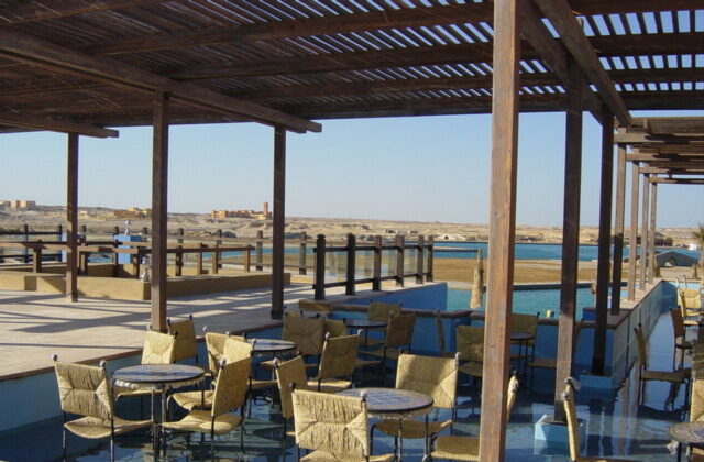 Diving hotel port ghalib pergola